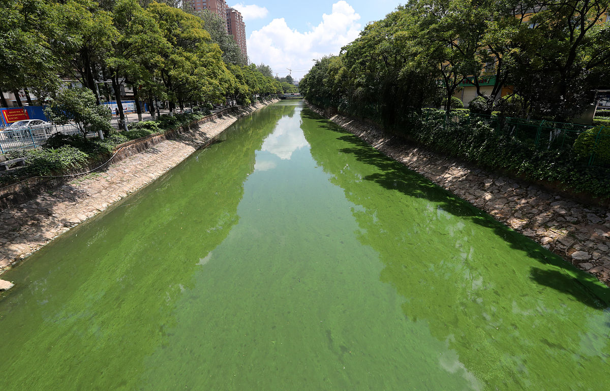 请写一篇关于河道治理的调研稿
