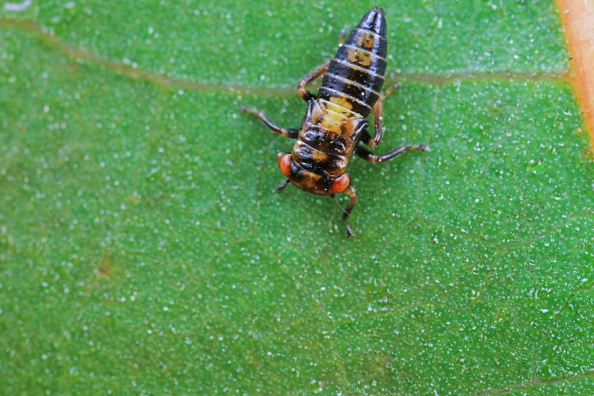 唐山职教中心2021年招生专业有哪些