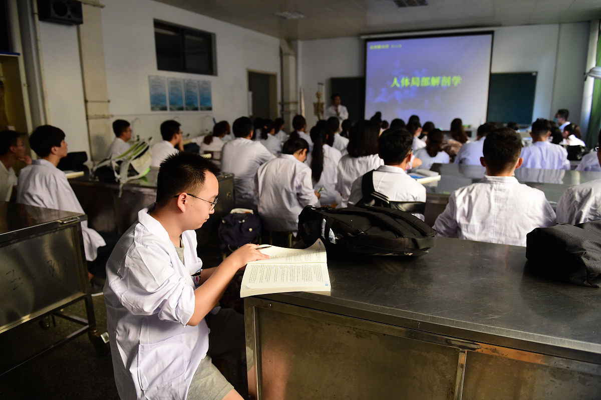 昆明医药职业技术学校年轻教师培训计划：助力教师专业成长