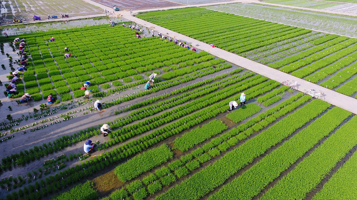 瑞安农业技术学校是什么办层次