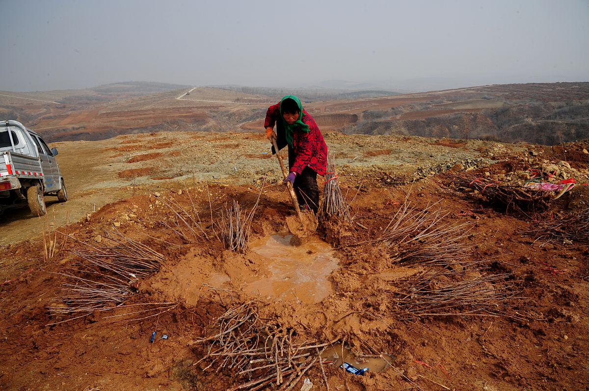 北京朝阳区农业机械化学校2022年有哪些专业