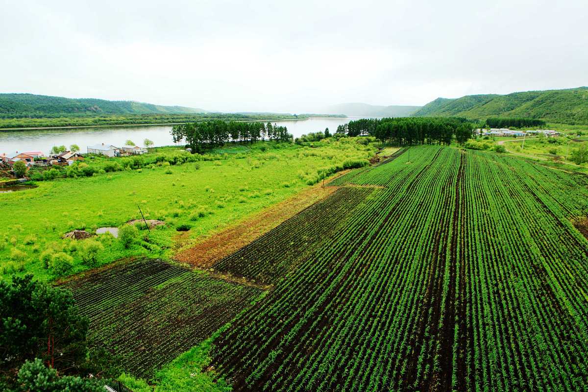 龙泉市农业标准地方案：打造高品质农产品基地，助推农业现代化