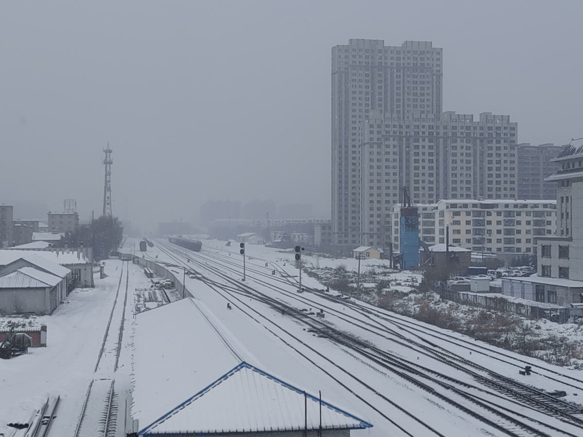 河南多地鹅毛大雪##鹅毛大雪#