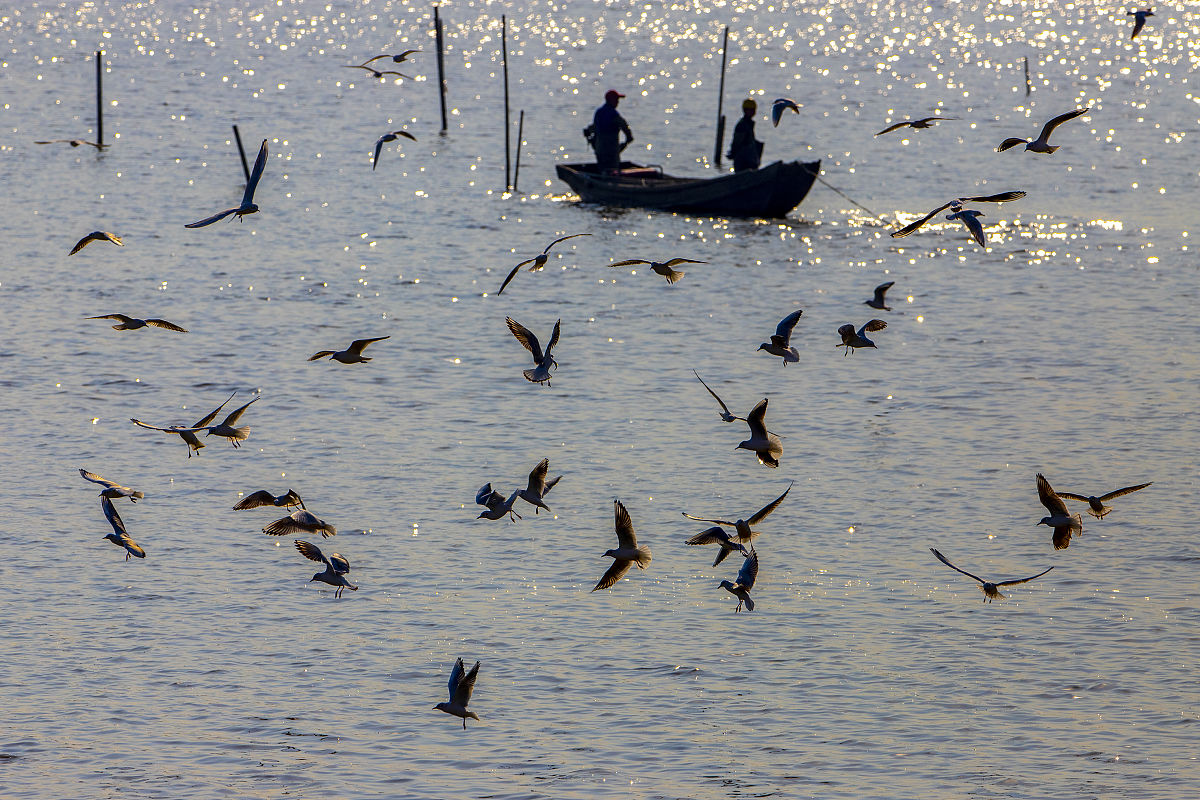 四川省水产学校地址是哪里怎么去学校