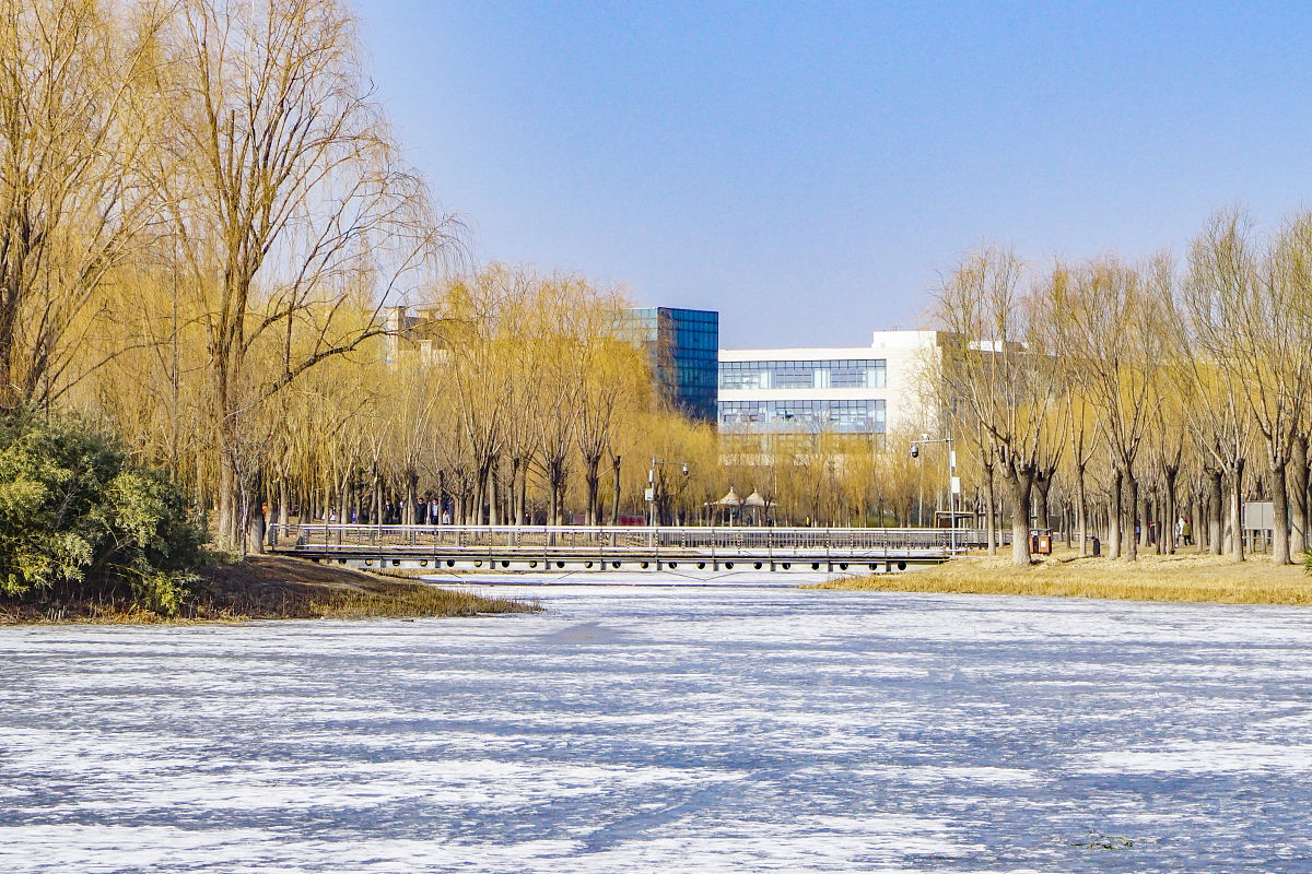 出50道科普知识选择题适用于青少年和各个年龄段附上答案