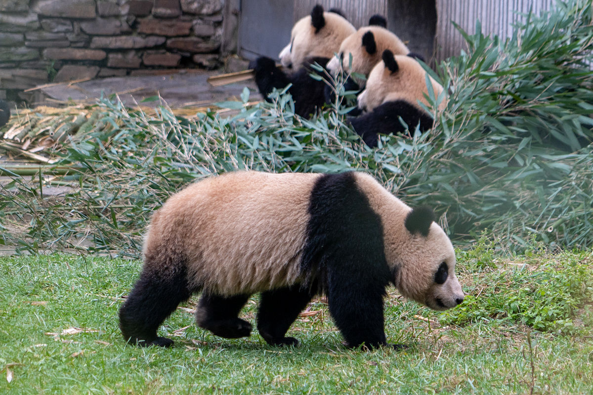 2022年宜春学院医学院临床医学专业招生