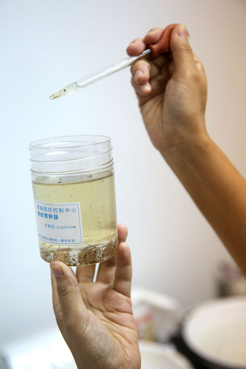 石蜡切片法脱水：直接浸泡可以吗？