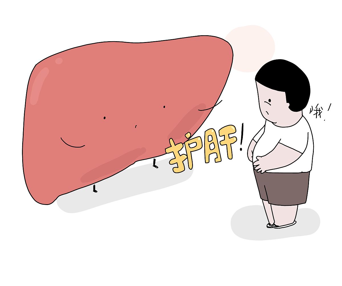 脂肪肝：症状、原因和治疗方法