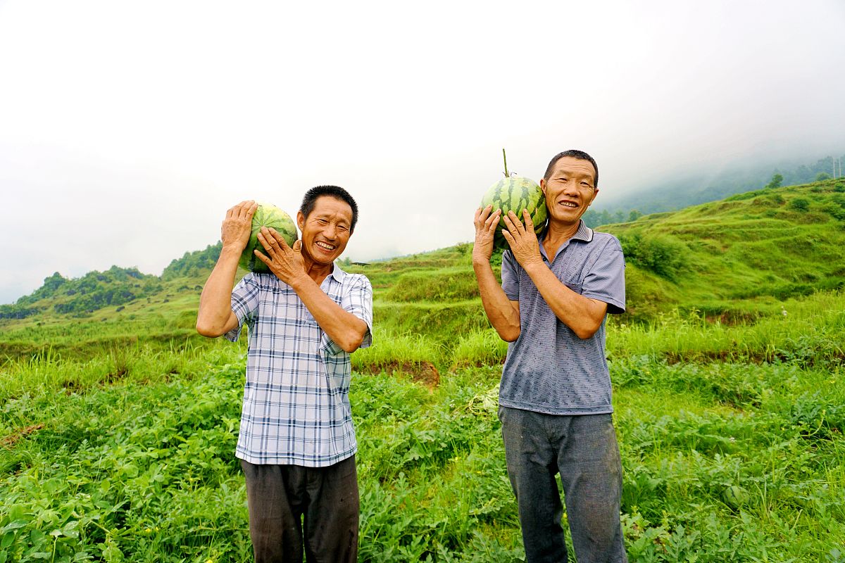 贵州农业职业学院中小企业创业与经营专业可以选择哪些就业方向