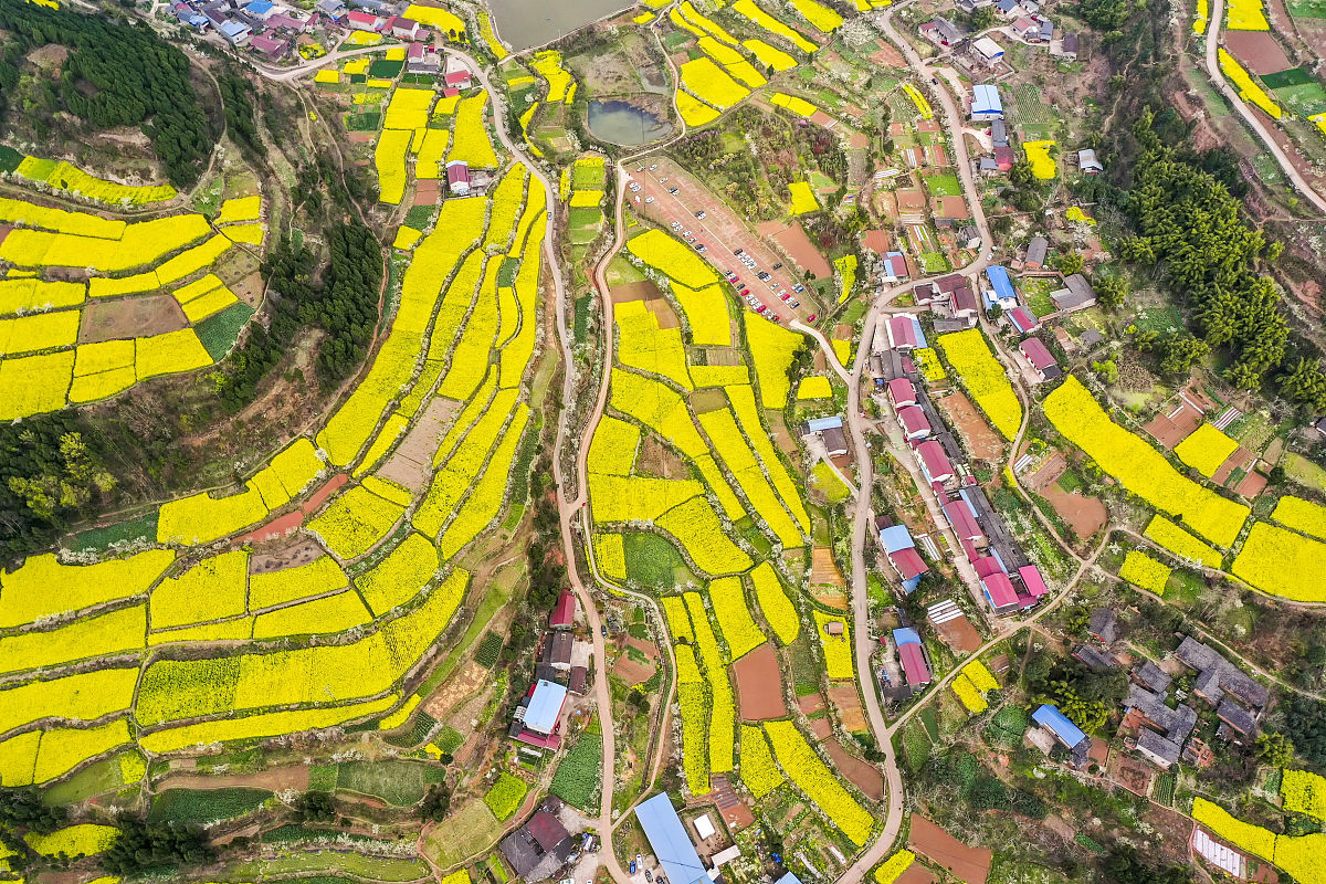 四川德阳电力施工总承包二级转让: 选择可靠代理公司的关键要素