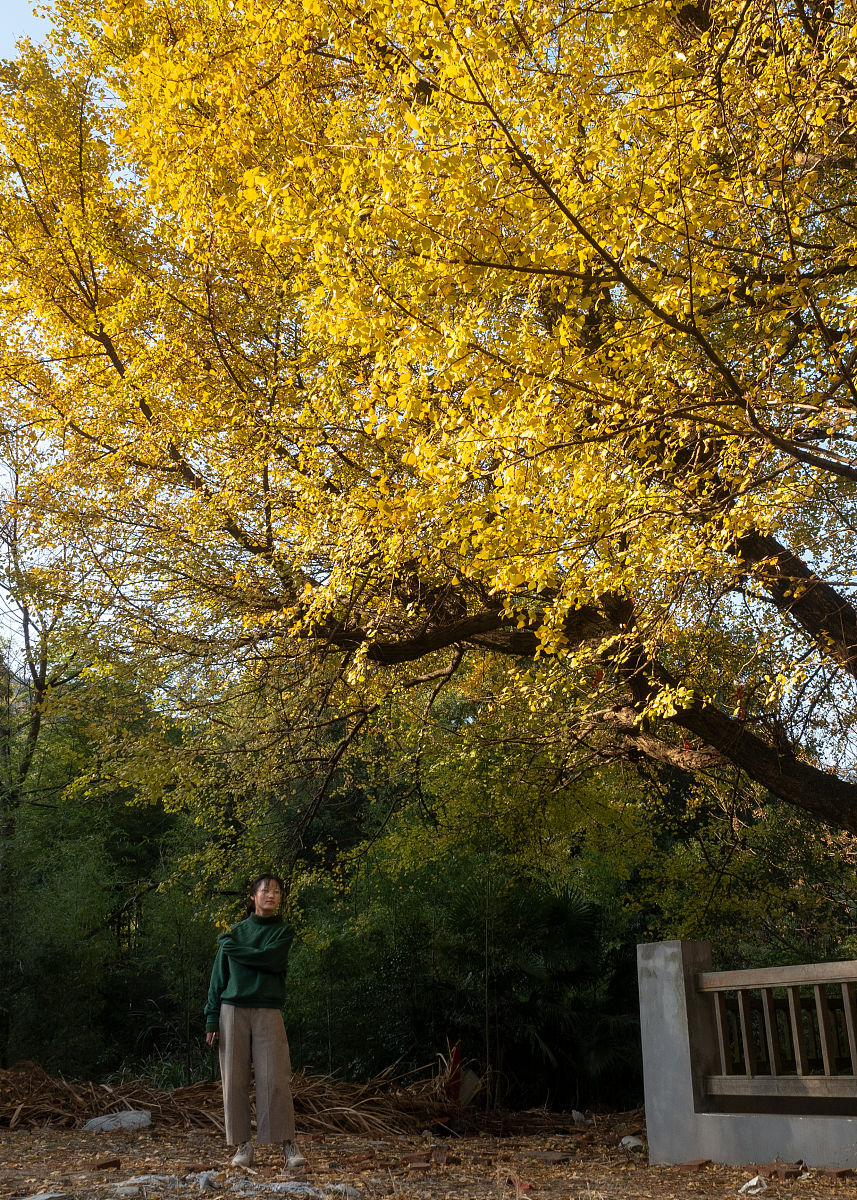 2020年贵州省林业学校招生简介