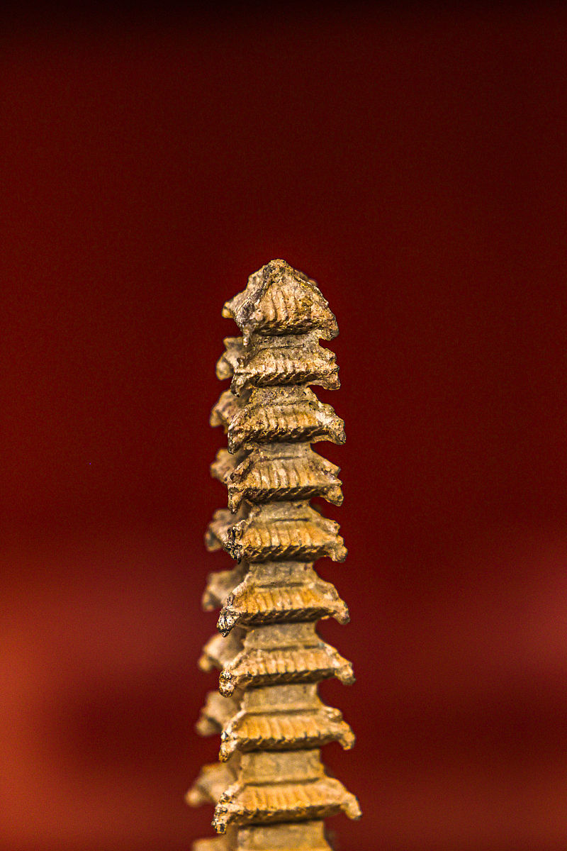 郑州商贸旅游职业学院工程造价专业怎么样？ - 教学质量及就业前景解析