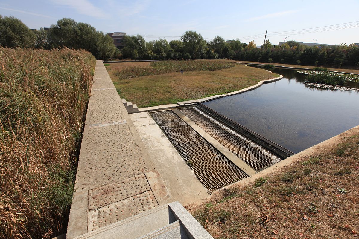 人工湿地污水处理应用：胡建龙讲座解析