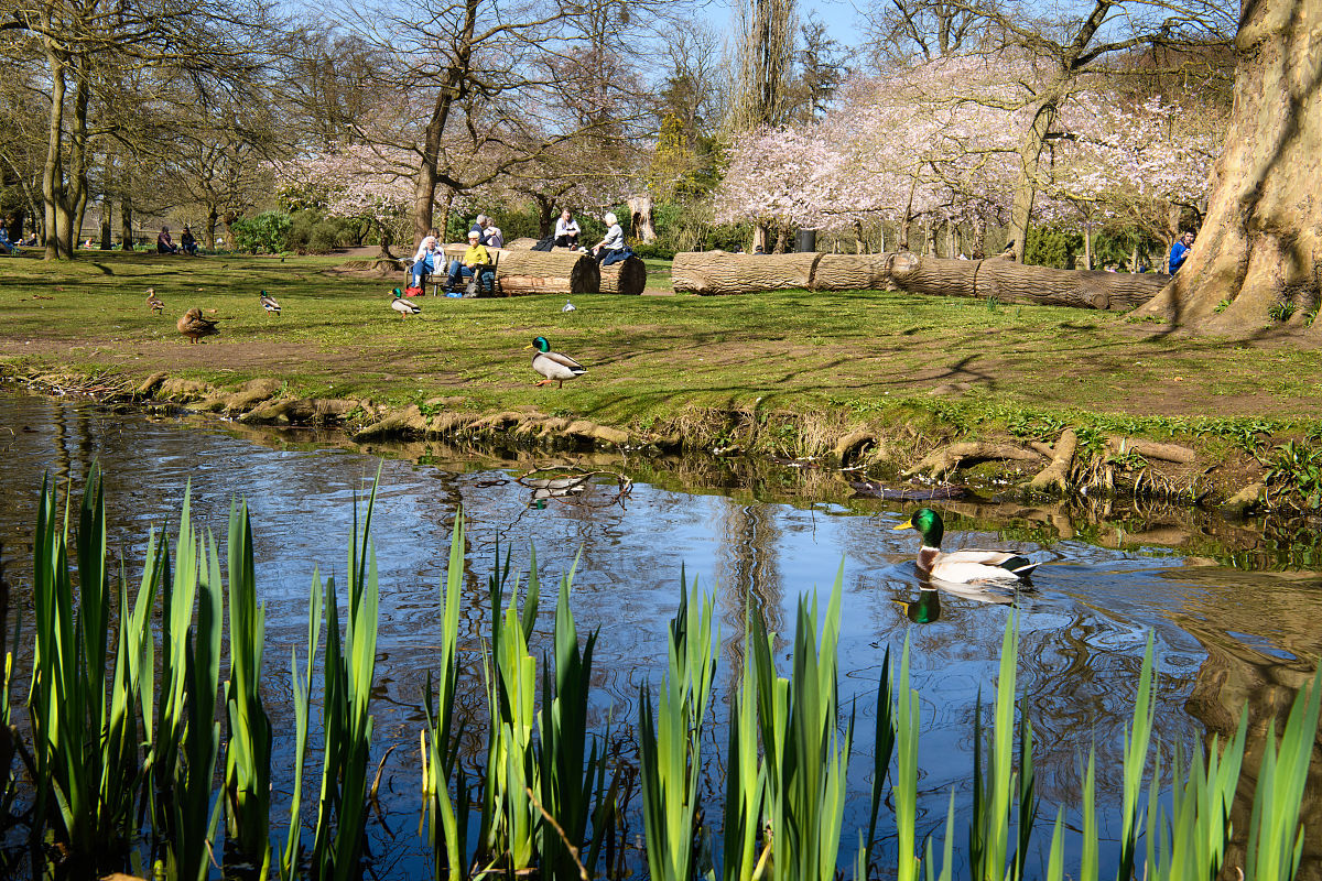 春光无限好，只拣春色多处行