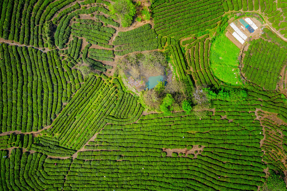 南京卫生高等职业技术学校地址及乘车路线 - 2023年最新信息