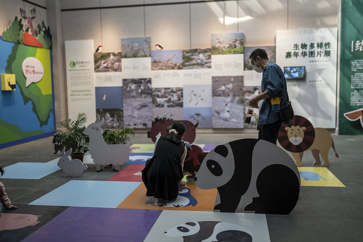 长江野生动植物保护专题展:了解生态、参与行动 长江野生动植物保护专题展:了解生态、参与行动