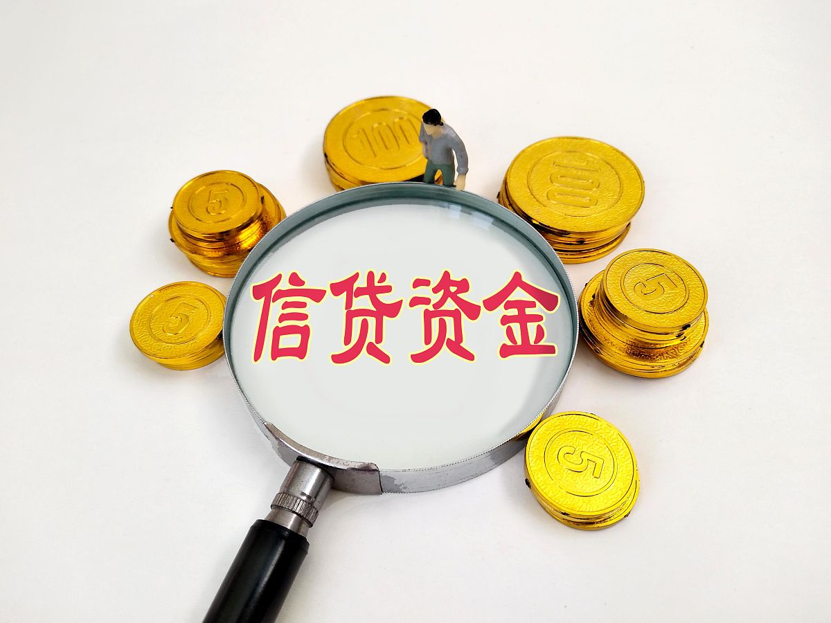 申请众信和申请融资哪个是借款