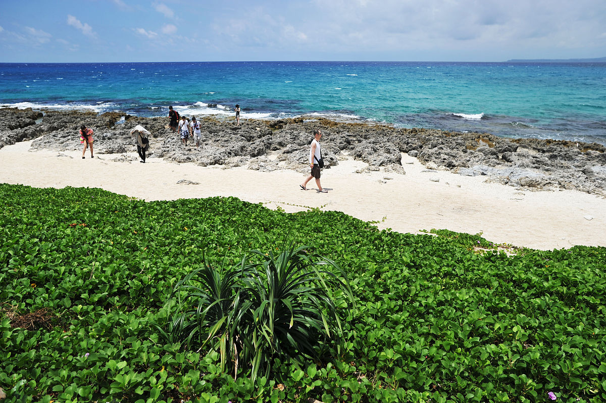 请你依照2023年的广州中考作文题目写一篇1000字的作文