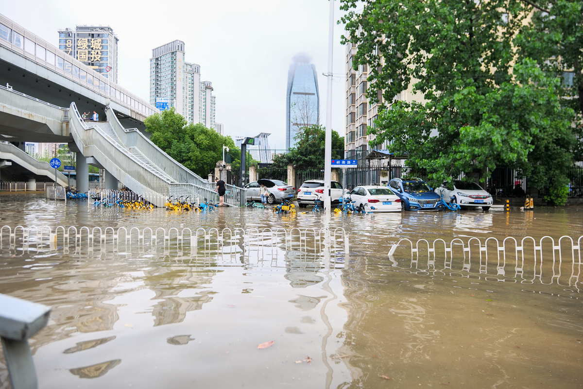 沿海城市洪涝灾害的主要驱动因素及加剧趋势