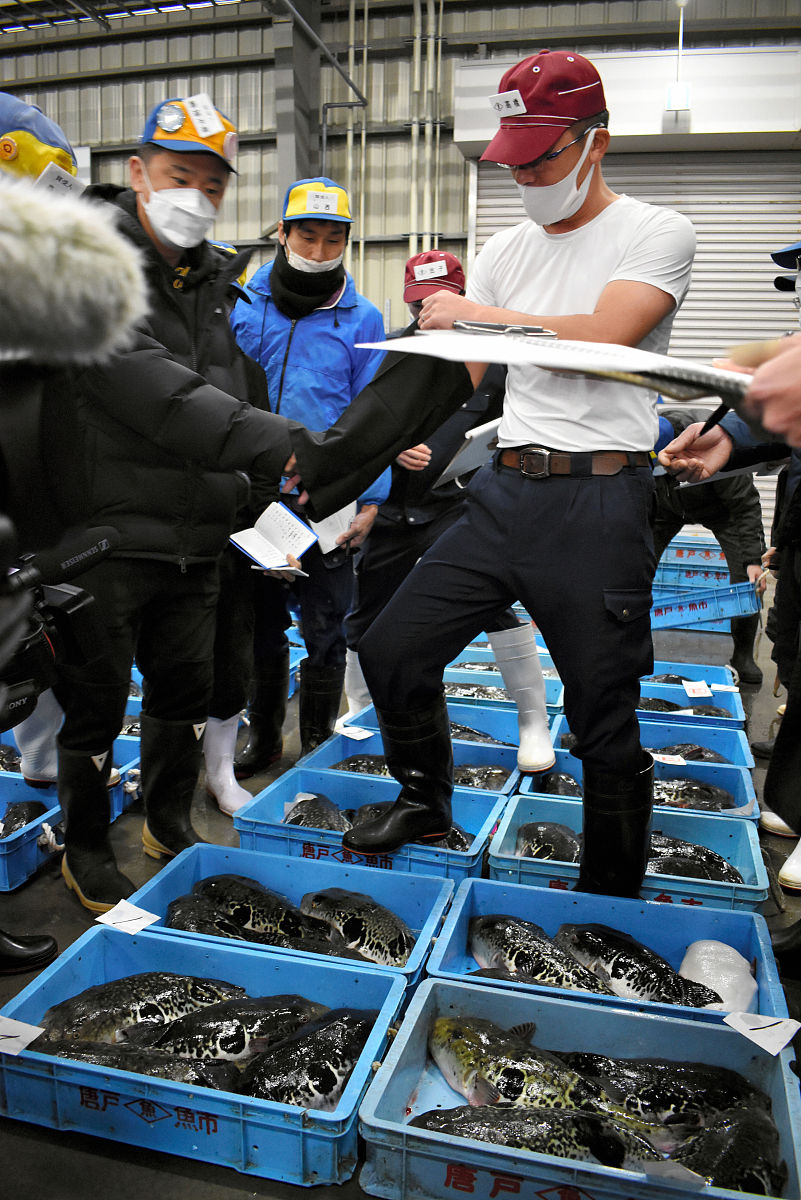 当地时间2021年1月4日,日本山口县下关市,当地鱼类市场在举行新年河豚