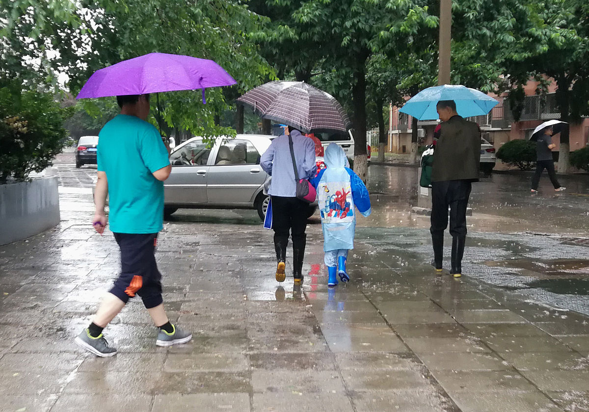 雨中漫步：感悟生活的美好