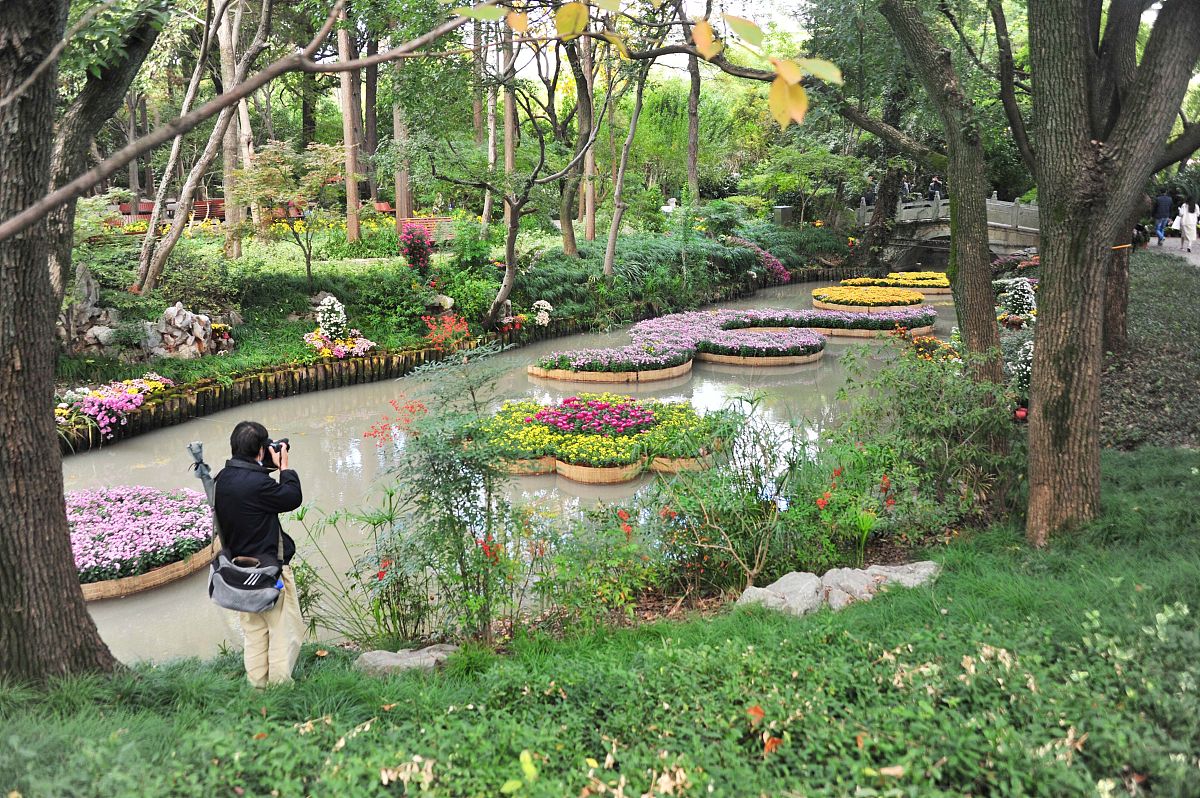 浅谈苏州市桐泾公园植物调查与分析论文写作大纲