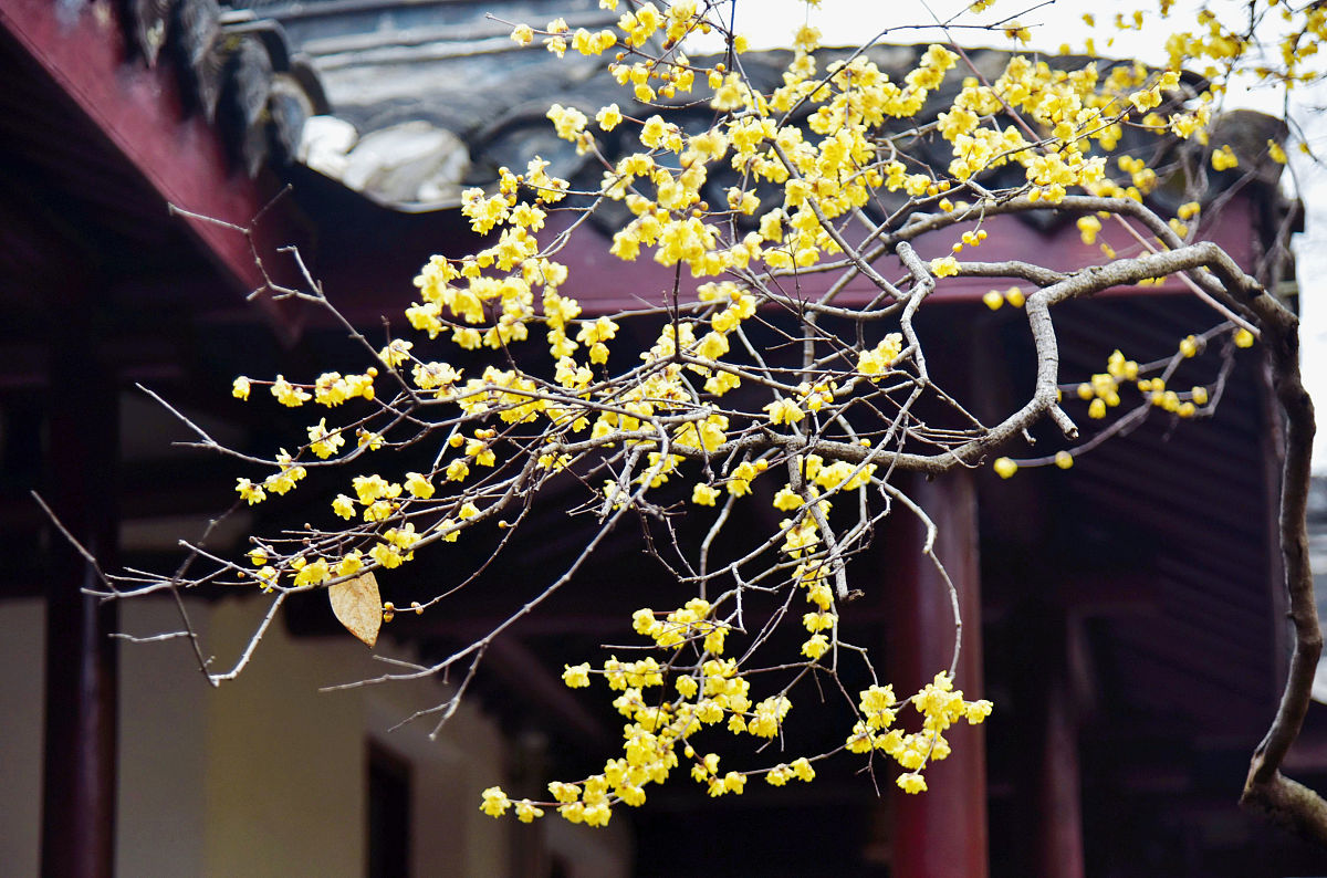 朔州师范高等专科学校英语教育专业就业前景如何