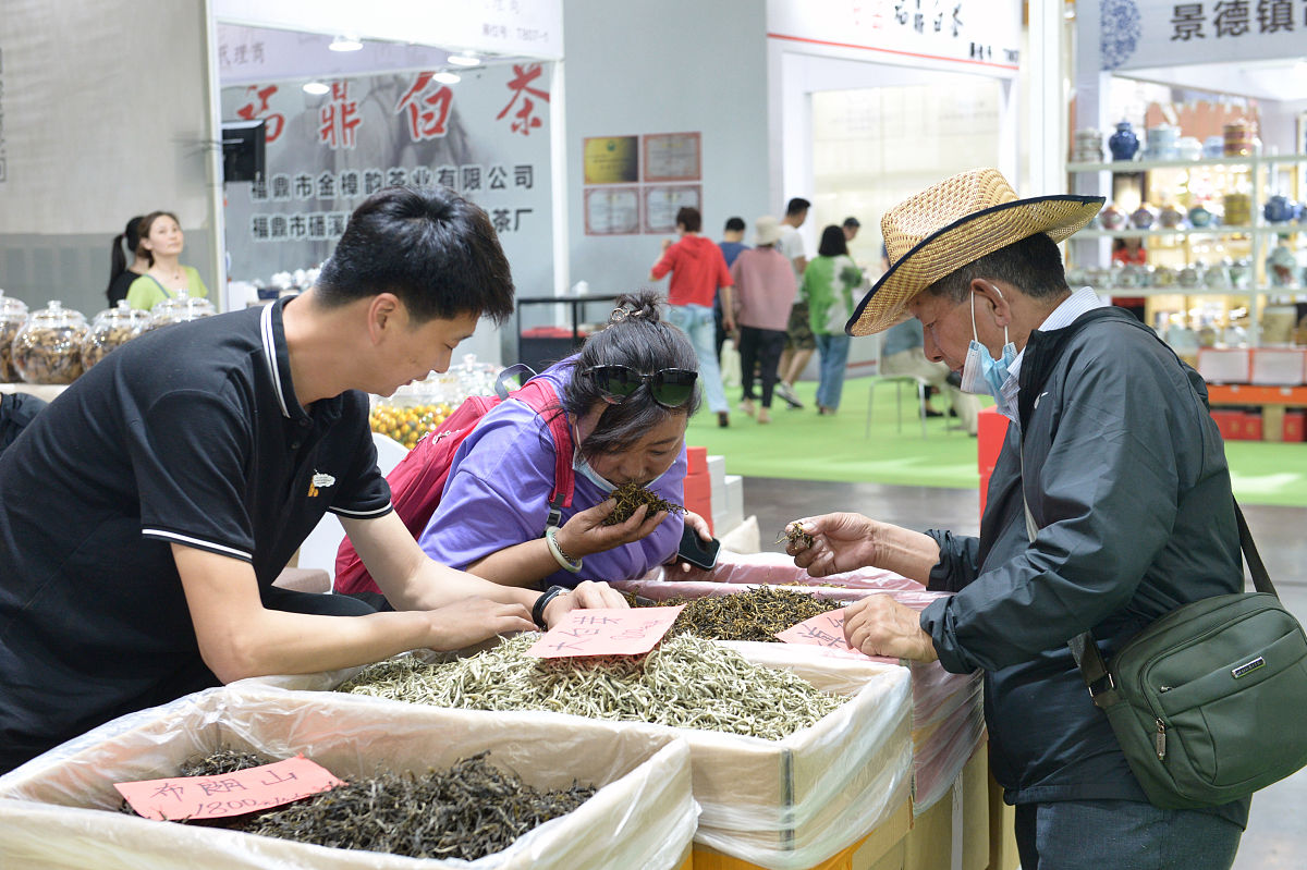 永德县职业教育中心2022年招生：茶叶生产与加工专业火热报名中！