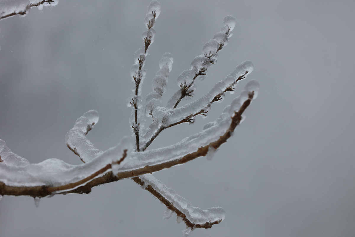 张家界机电机械学校2022年招生简章好麽