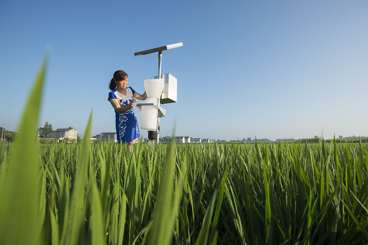 图像处理技术在虫害侵蚀检测中的应用 图像处理技术在虫害侵蚀检测中的应用