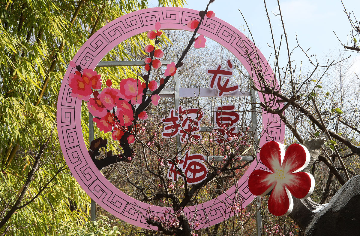 龙泉卫校2020招生简章