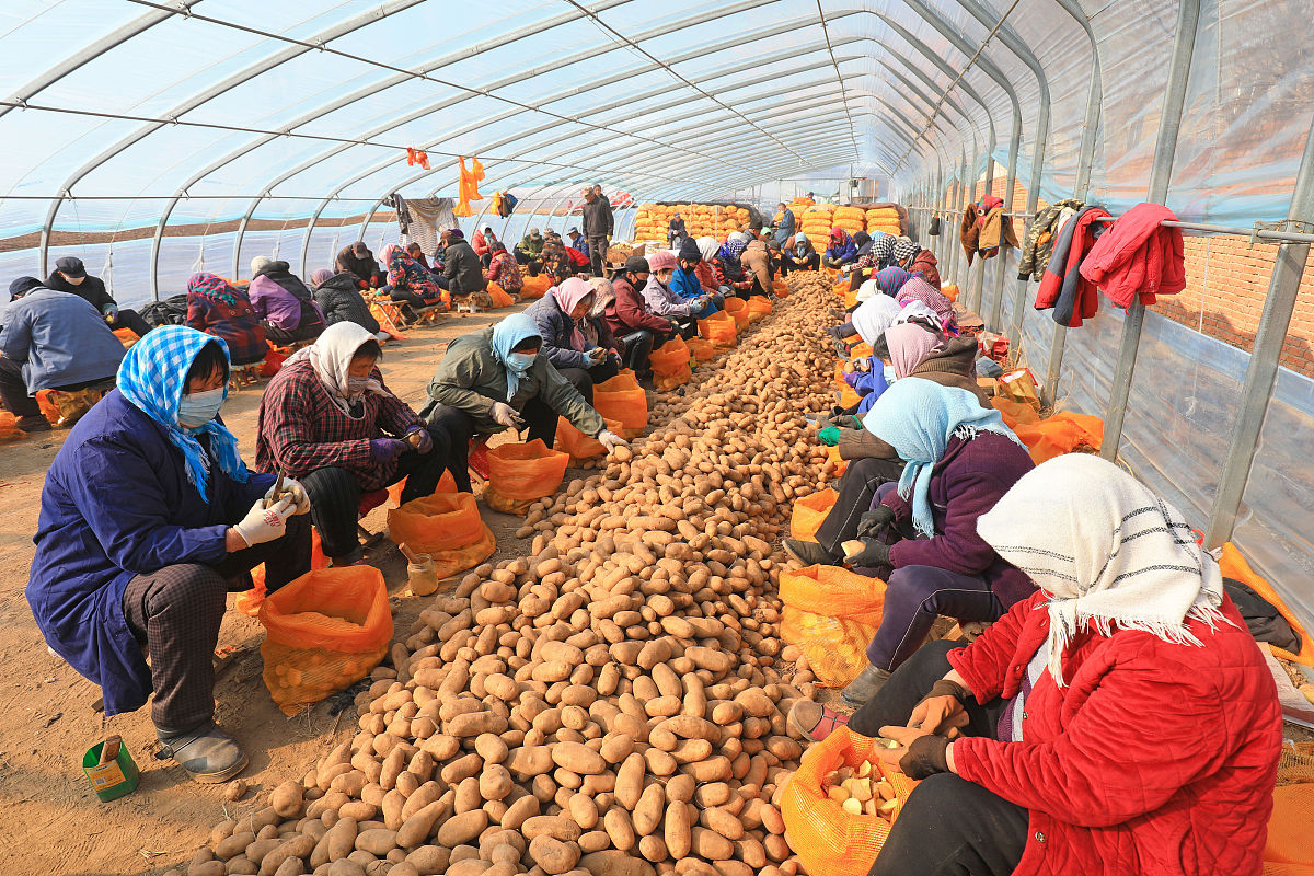 唐山高中毕业可