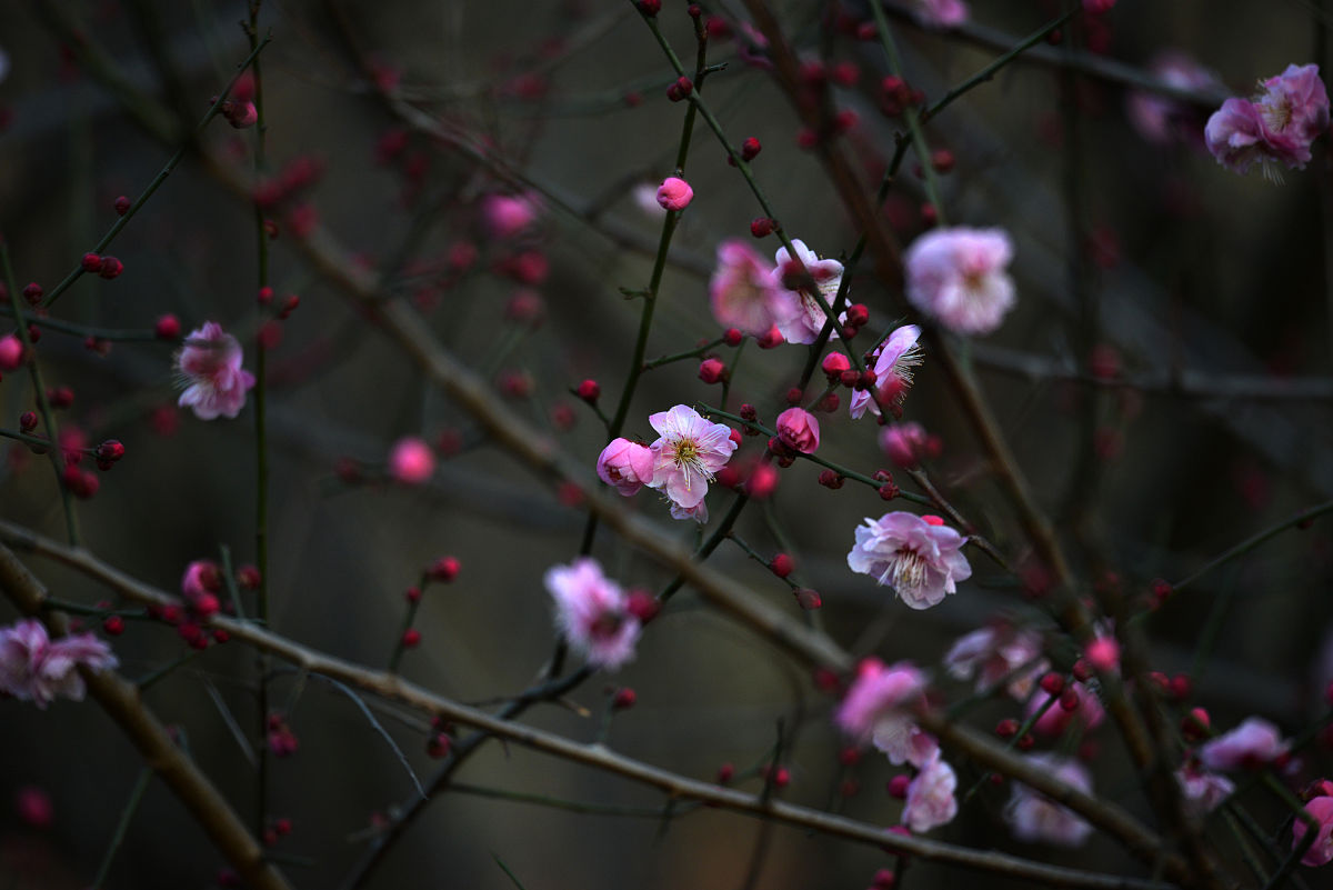六安市裕安职业学校2021年招生专业 - 电子商务、汽车维修、护理、美容美发等