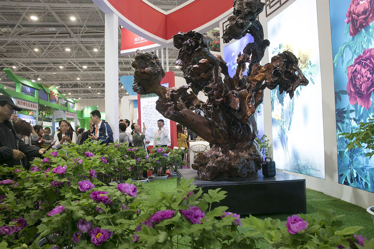 菏泽市民热线是多少？官方公布求助电话！