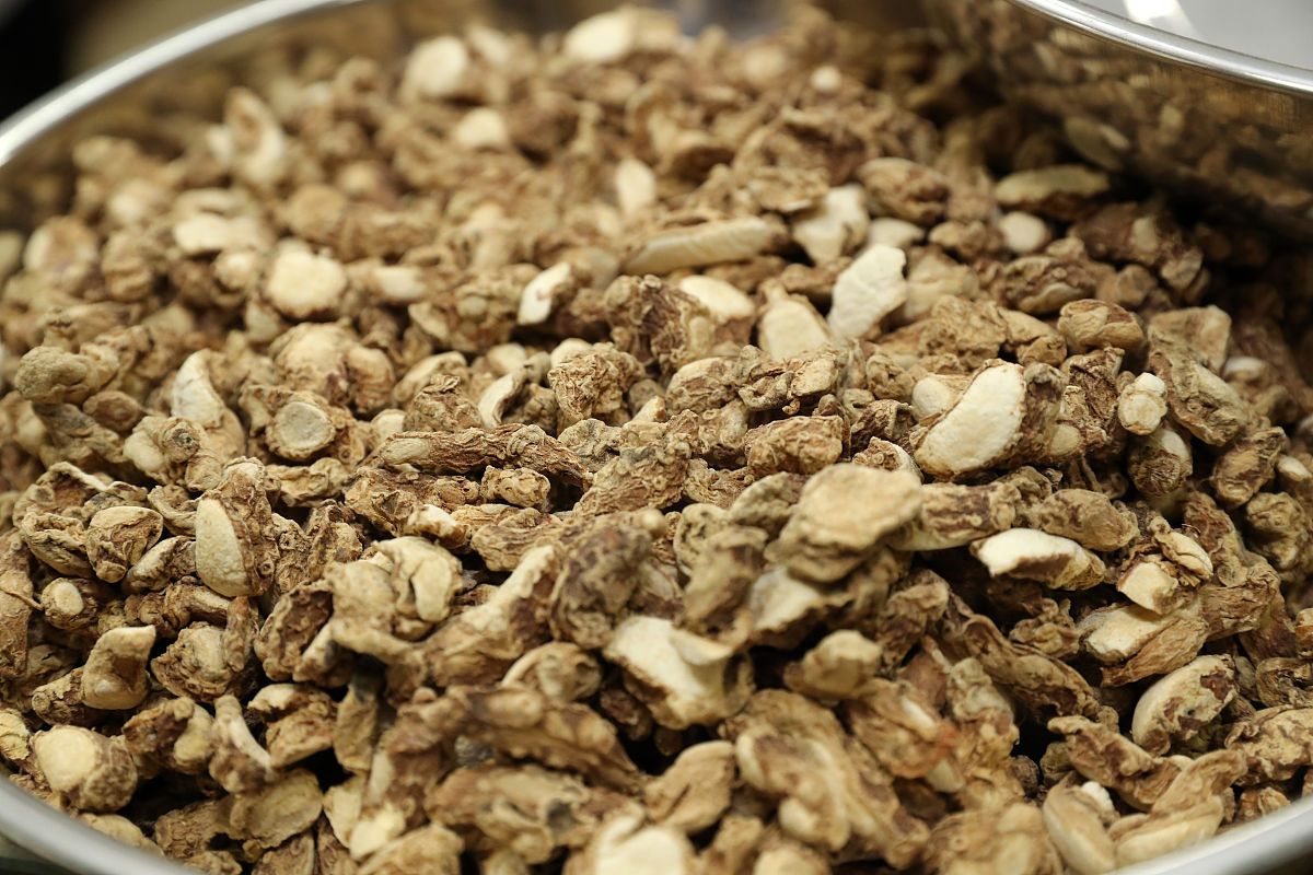 江西中医药大学科技学院招生办联系电话