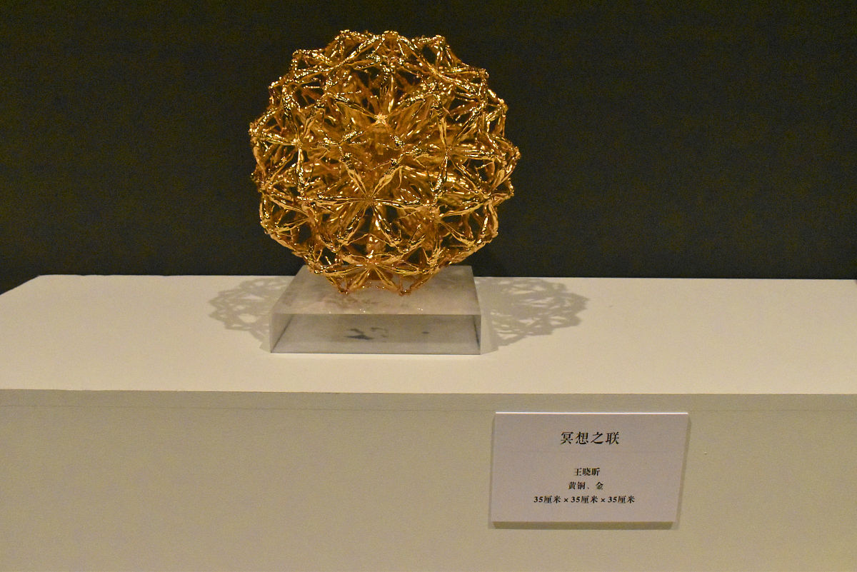 Early Carotid Plaque Rupture Diagnosis with Ultrasound Reduces Stroke Risk