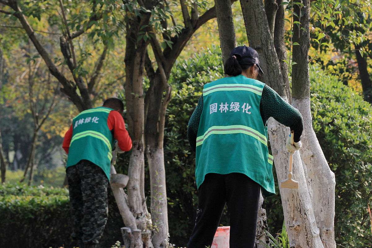 公路美化员：酷暑下的默默奉献者