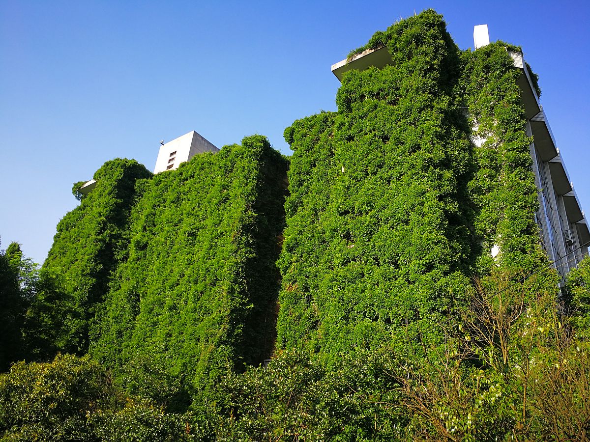 贵阳铁道运输管理专业怎么样用