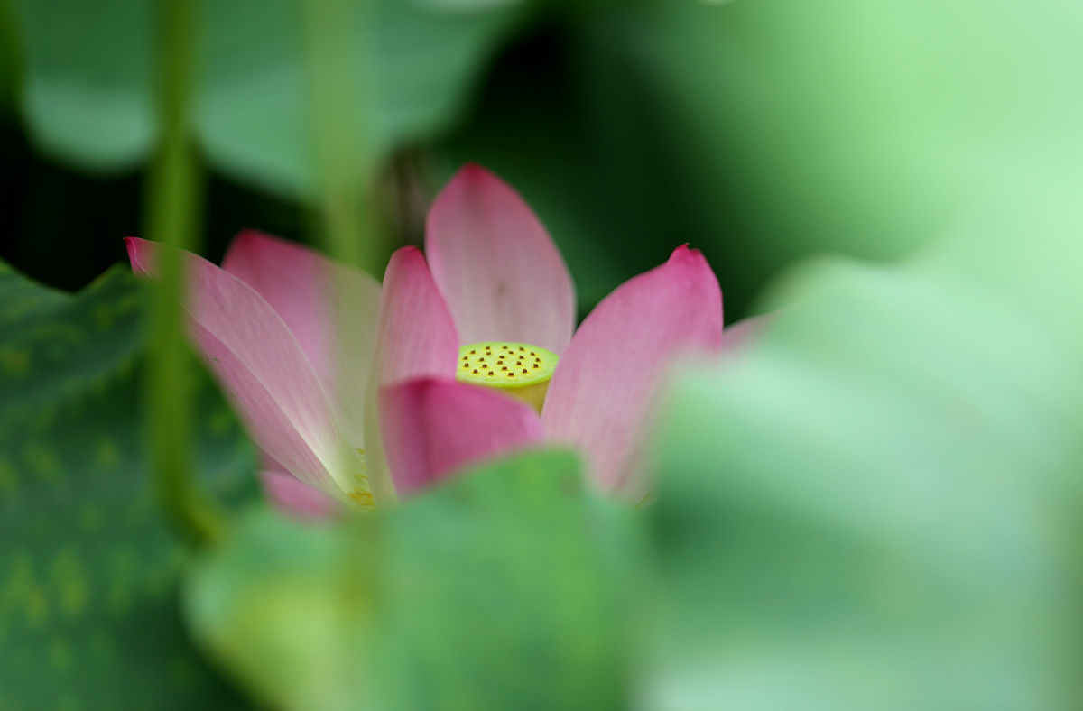 山东水利职业学院金融管理与实务专业怎么样