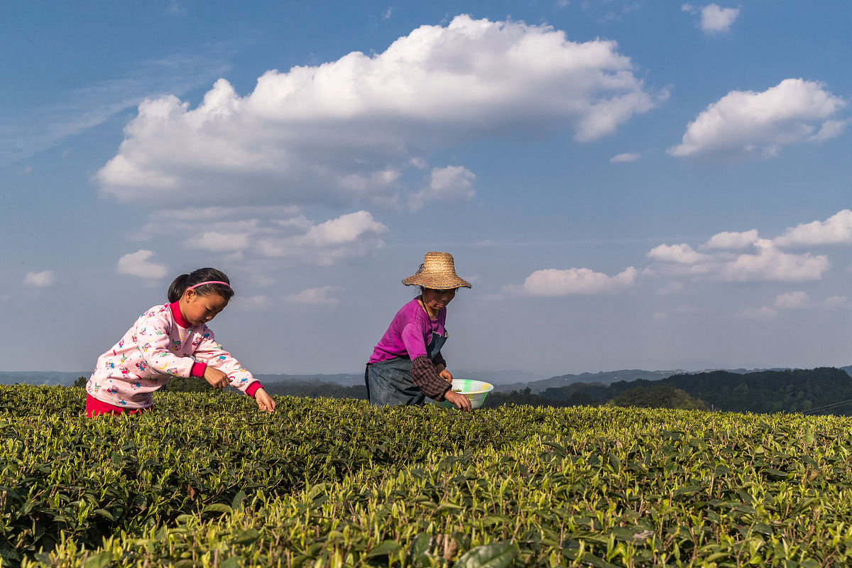 2019年重庆市南川隆化职业中学校招生简章
