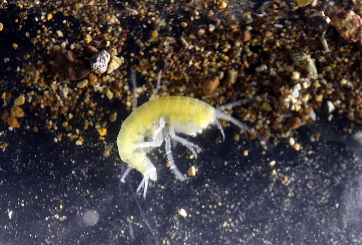 行山如果遇到結界要點做？念什麼佛經？西貢結界是真的嗎？百慕達有結界嗎？