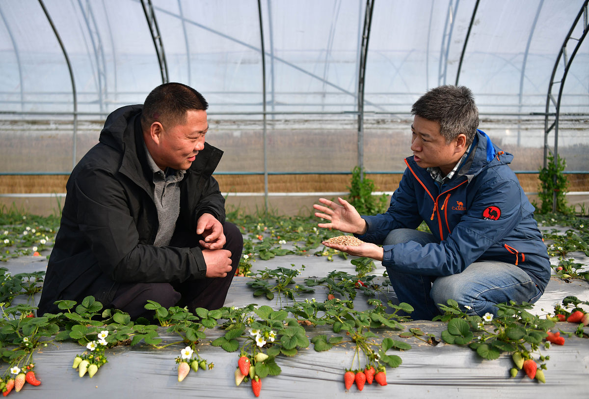 徐水职教中心现代农艺技术专业怎么样