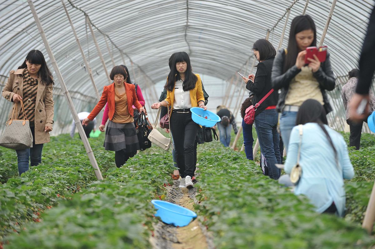 太湖职业技术学校农业生产技术学习课程：培养现代农业人才