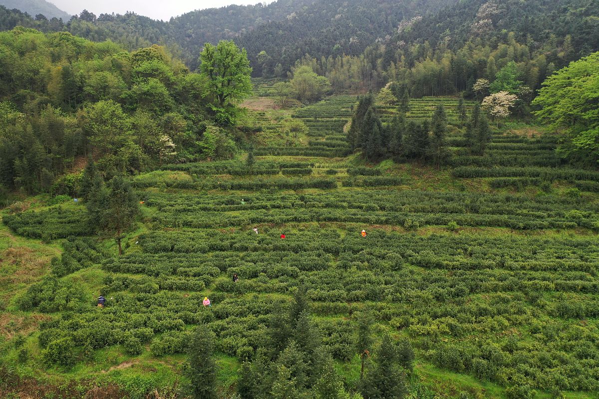 2019年4月10日,江西鹰潭,航拍龙虎山风景区.位于江西鹰潭的龙虎山风景