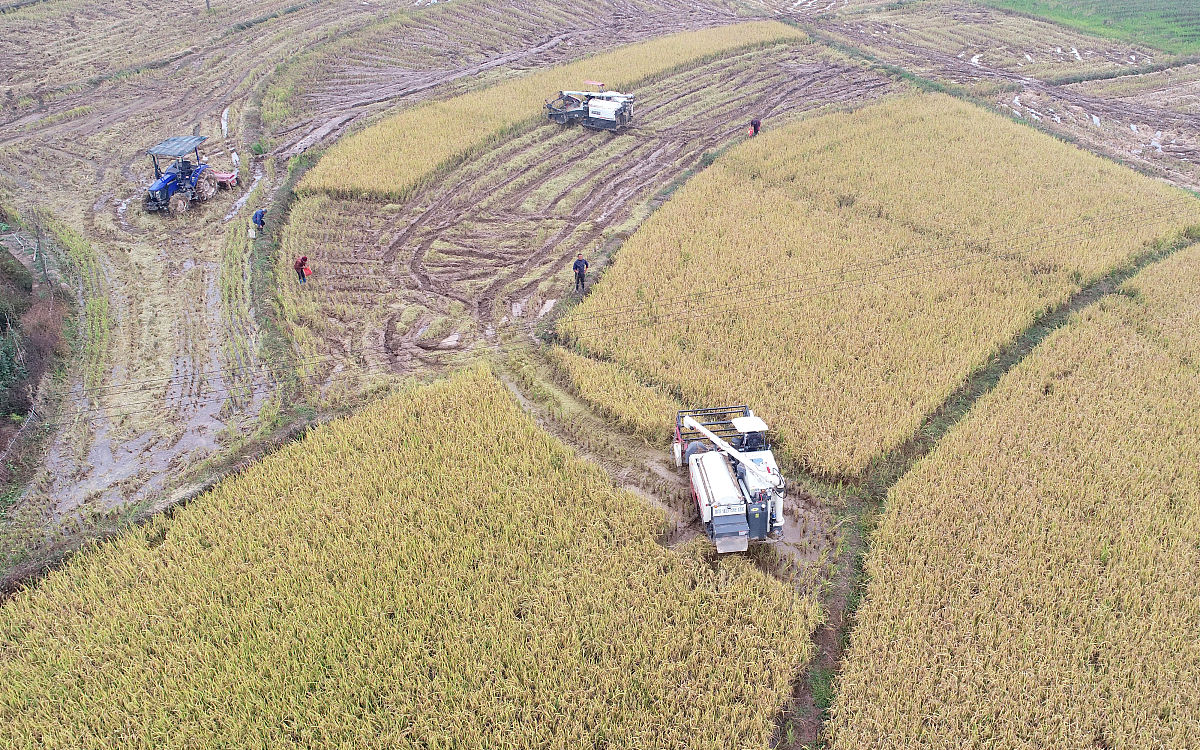 湖南女子学院2022招生简章