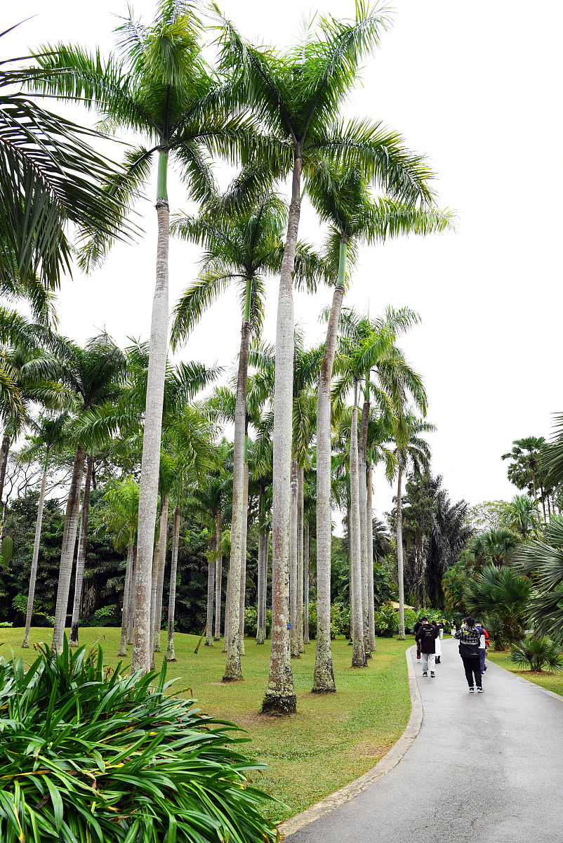 云南热带作物职业学院地址 | 云南热带作物专业人才培养基地