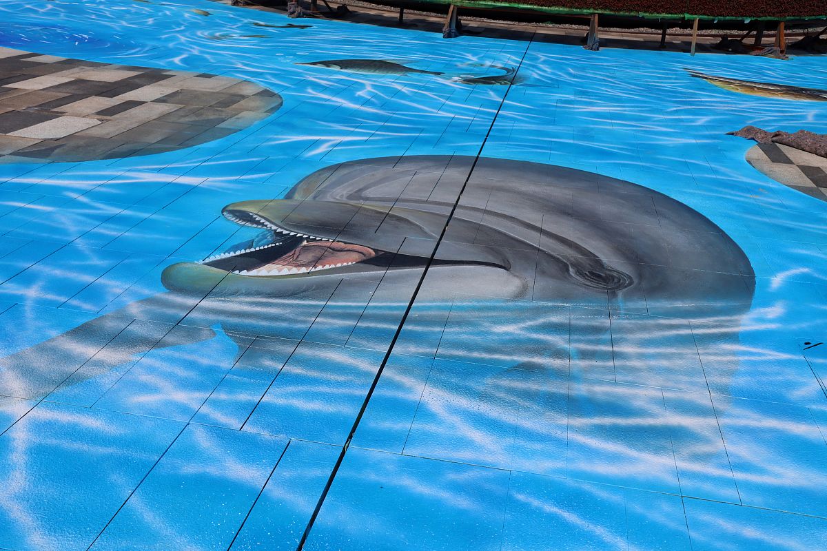 江豚：长江珍稀野生动物保护主题展