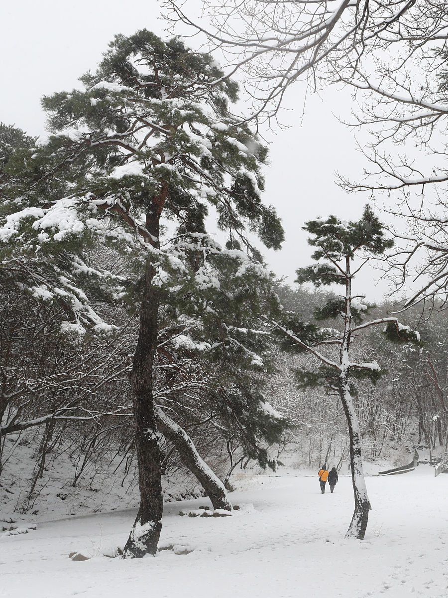 倒春寒发生时间和强度分析