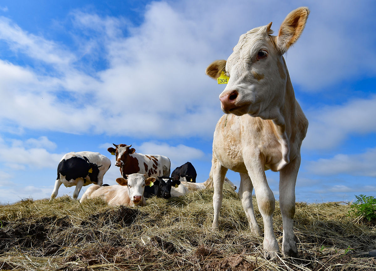 管理系统的环境要求