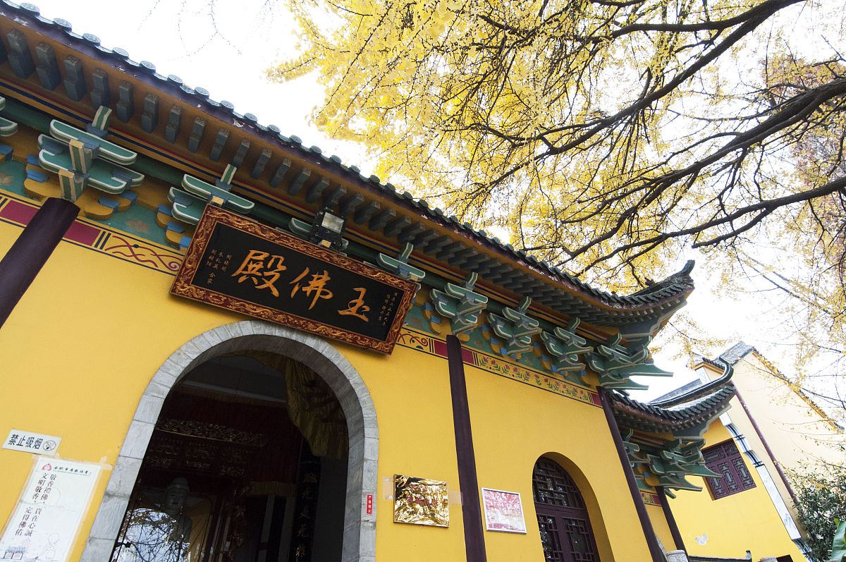 2017年11月28日,合肥,庐江县白云禅寺千年银杏树景色非常壮观,银杏树